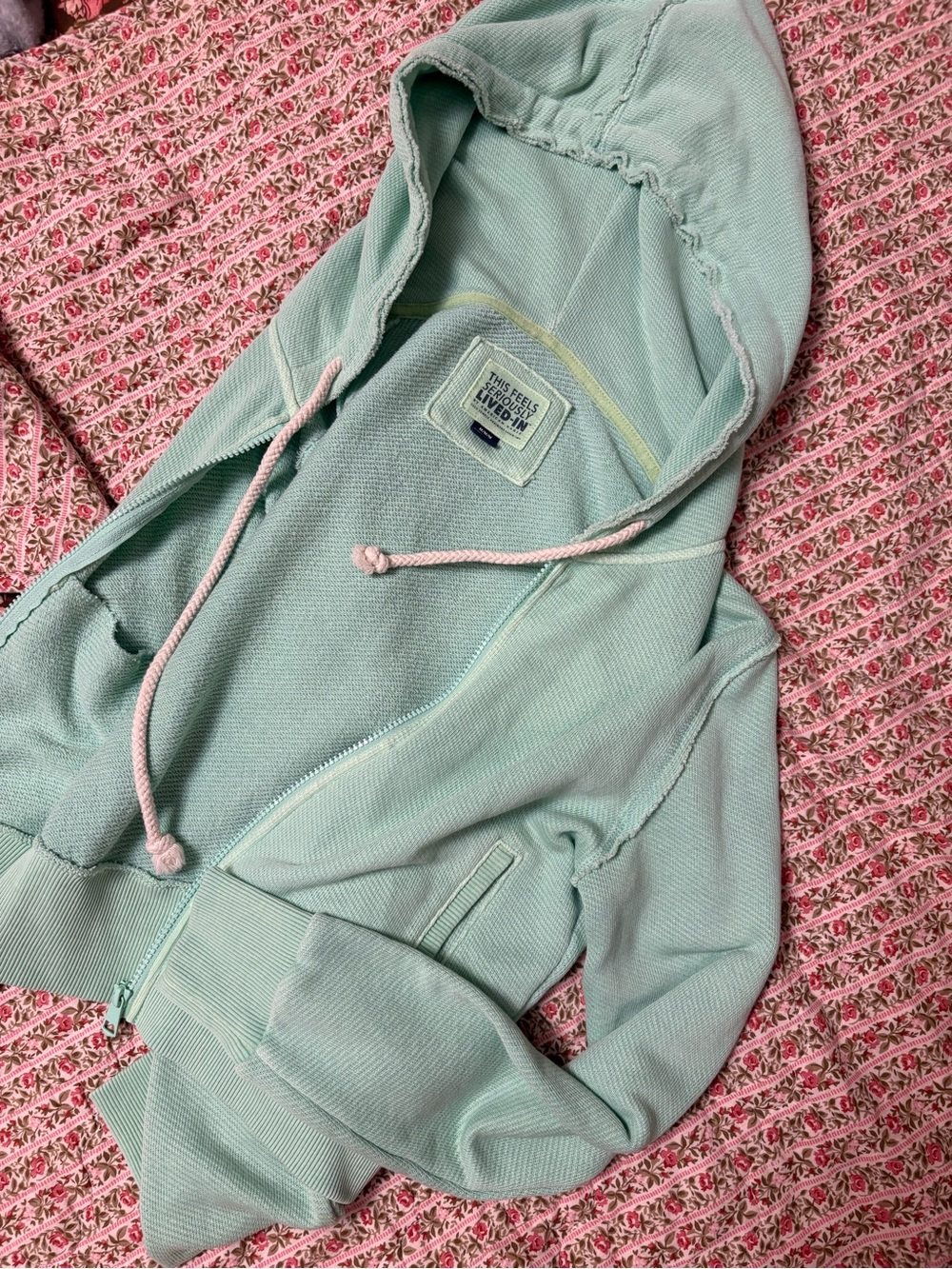 NWOT American Eagle Cropped Hoodie